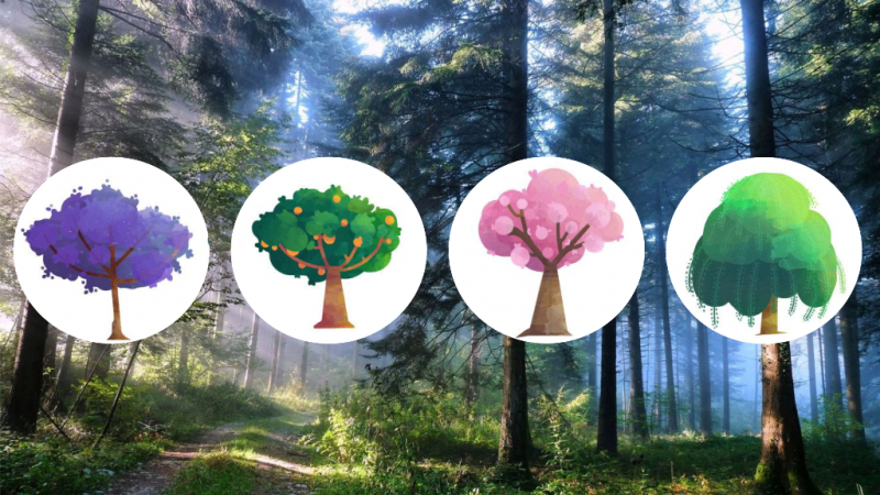 Тест: выберите дерево и узнайте кто вы – оптимист или пессимист